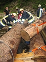 bild (16)